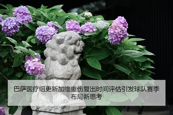 巴萨医疗组更新加维重伤复出时间评估引发球队赛季布局新思考